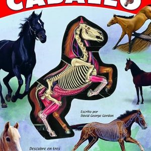 Viaje al interior del caballo