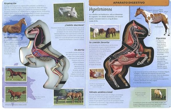 Viaje al interior del caballo - Imagen 2