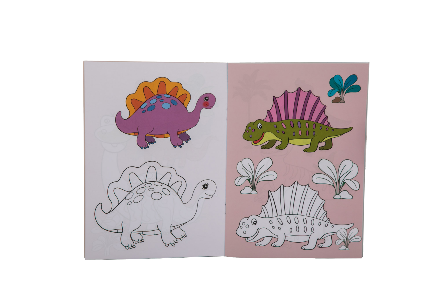 Dino color edicards - Imagen 3