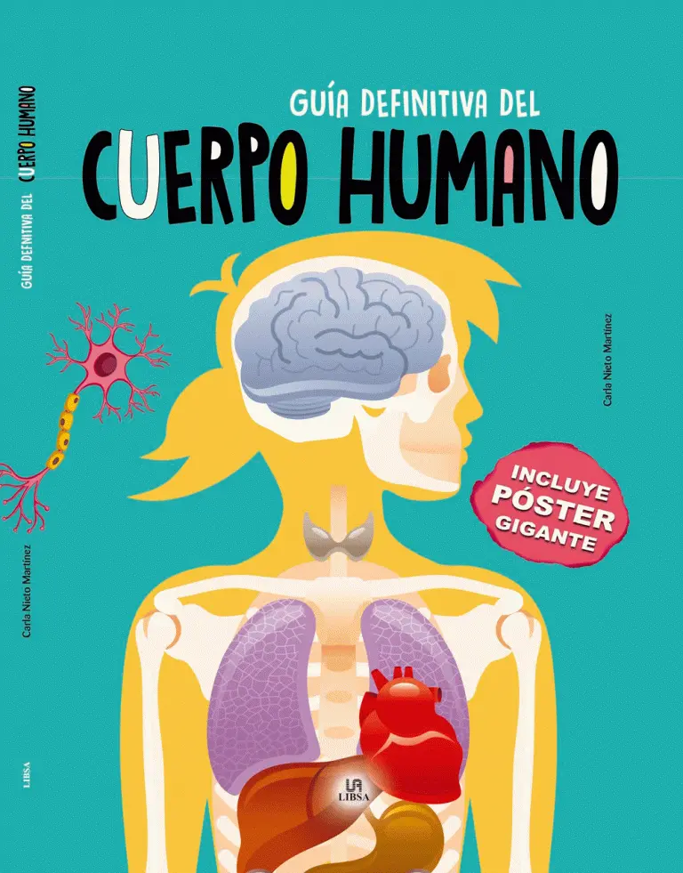 Guia definitiva del cuerpo huumano